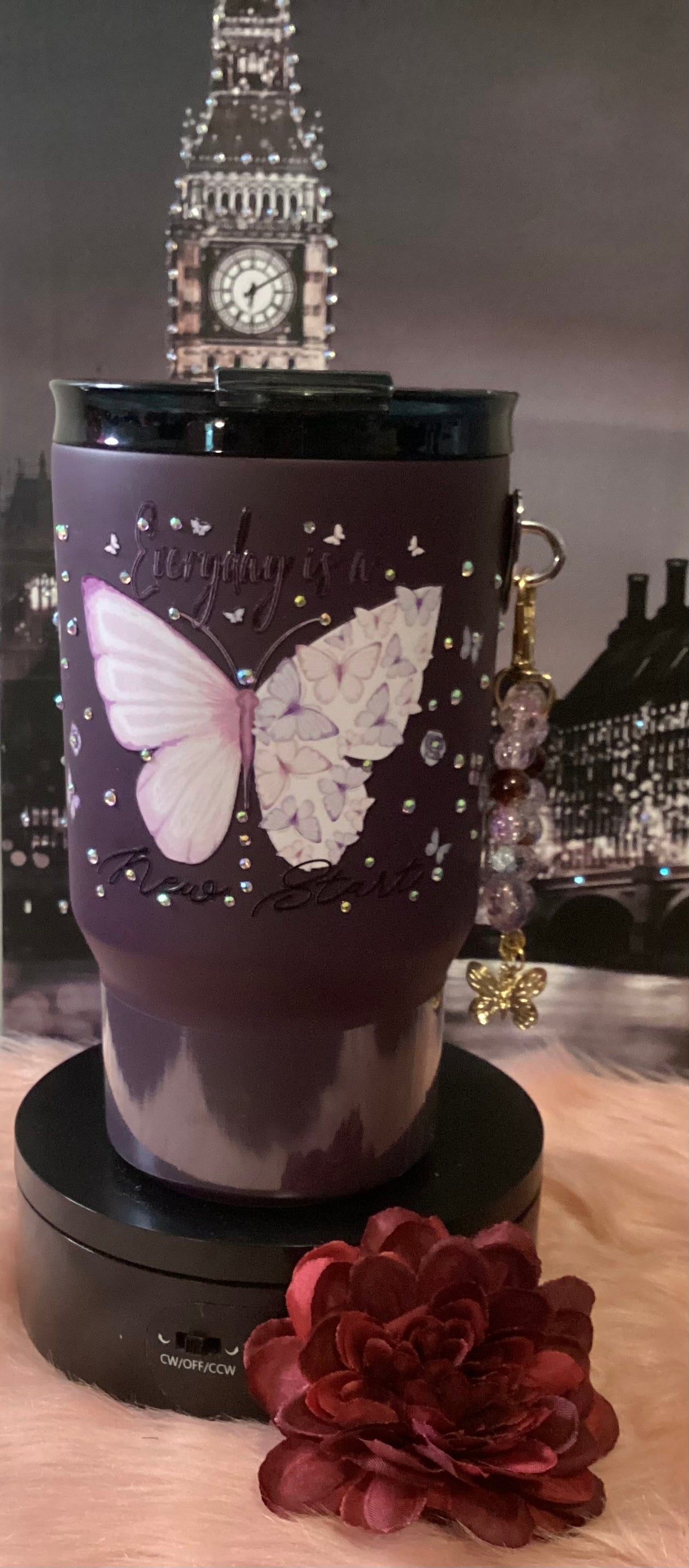 BUTTERFLY